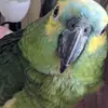 Paula Ostrander - @paula.ostrander - TikTok
