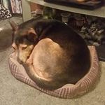 Paul Overton - @joverton.po - Instagram