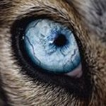 Paul Pace - @pdpacejr - Instagram