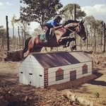 P. Paiz Muñoz - @paul_paiz - Instagram