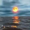 Paul Palmieri - @paulzerox_ky - TikTok