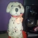 Paul Paschal - @paul.paschal.1272 - Instagram