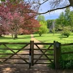 Paul Paskell - @paulpaskell - Instagram