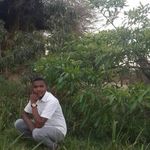 Paul Pasko - @paskopaul - Instagram
