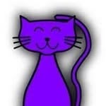 Paul Caianiello #PurpleCat - @paul_pasqual_caianiello_usa_we - Instagram