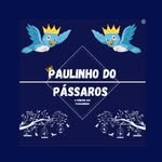 Paulinho_do_Passaros123 - @paulinho_do_passaros123 - Instagram