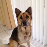 Paula Passman - @paulapassman - Instagram