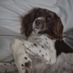 Paul Passmore - @passmorepaul - Instagram