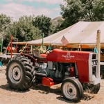 Paul’s Patch - @pauls_patch - Instagram