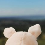 paul.patrick.schwein - @paul.patrick.schwein - Instagram