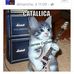 Paul Patry - Facebook