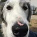 Paul Payson - Facebook