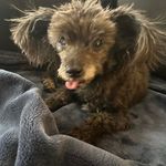Paul PeAk Ringler - @paulpeak - Instagram