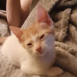 Paul Peer - @paulpeer3623 - Instagram