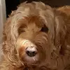 Paul Peers - @paul.peers6 - TikTok
