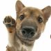 Paul Peetz - Facebook