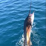 Paul Pegg - @paulpegg779 - Instagram