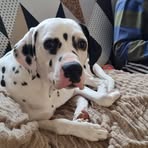 Paul Pegg - Facebook
