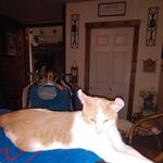 Todd Pelkey - @toddpaulpelkey45 - Instagram
