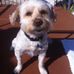 Paul Penberthy - Facebook