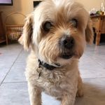Paul Penberthy - @paul.penberthy.3 - Instagram