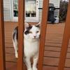 Paul Pinkert - @paulpinkert - TikTok
