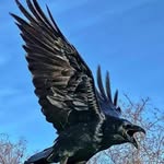 Paul Penney - @paulpenney48 - Instagram