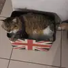 Paul Penton - @paul.penton8 - TikTok