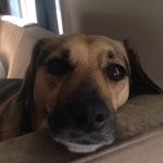 Paul Perkins - @paul.perkins.37 - Instagram