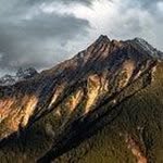 Paul Perkins - @paulperks3 - Instagram
