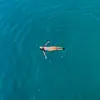 paulaperotti_ - @paulaperotti_ - TikTok