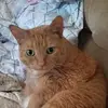 pauletteperrault - @pauletteperrault - TikTok