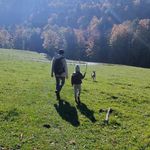 Paul Perret-Gentil - @paulperretgentil - Instagram