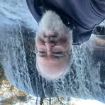 Paul Perigo - Facebook
