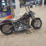 Paul Perrone - @paul.perrone.9047 - Instagram