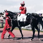 Paul Peter Racing Stable(RSA) - @paul_peter_racingstable - Instagram