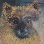 Paul Petrocco - @polypants - Instagram