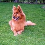 Paul Petrocco - @paulpetrocco - Instagram