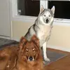 paulpetrocco - @paulpetrocco - TikTok