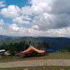 Paul Petrus - @paul.petrus5 - TikTok