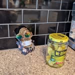 Paul The Pickle - @paulthapickle - Instagram