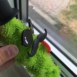 Pickle Paul - @picklepaul69 - Instagram