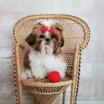 Ulrike Piehler - @ulrike_piehler_paul - Instagram