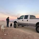 Les Paul pilcher - @lespaulpilcher - Instagram