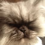 Paulrampinelli - @paulrampinelli - Instagram