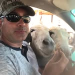 @pauls.pinelli - Instagram