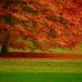 Paul Pitre - Facebook