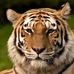 Paul Van Plett - Facebook