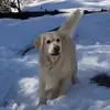 Paul Plotts - @paulplotts - TikTok