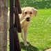 Paul Pocklington - Facebook